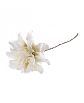 Kwiat Biały